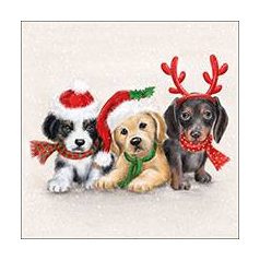   Karácsonyi kutyás szalvéta - 3 kutya sapkában sálban - Sweet Dogs, tacskós